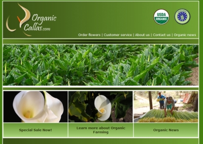 Organic Callas